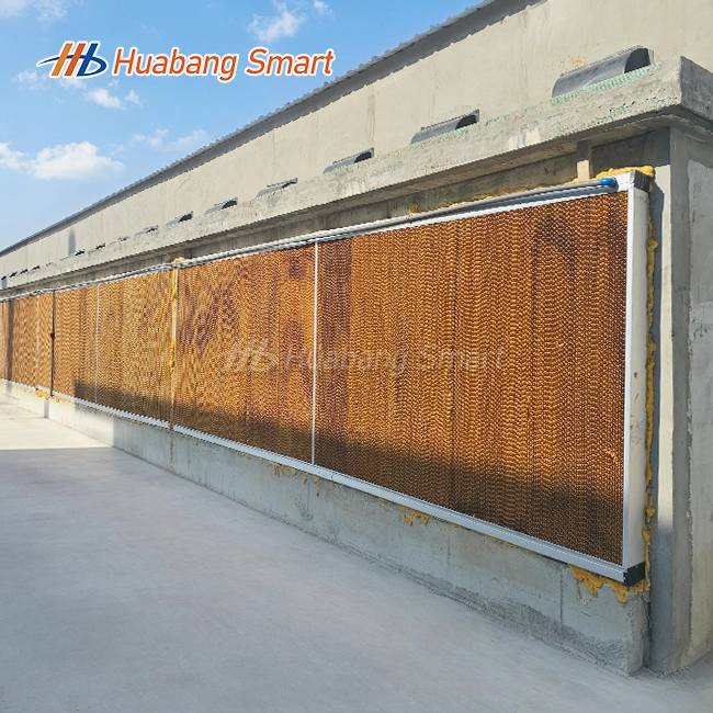 Cooling Pad System Poultry Farm